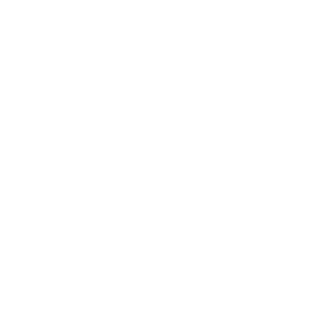 zehnder